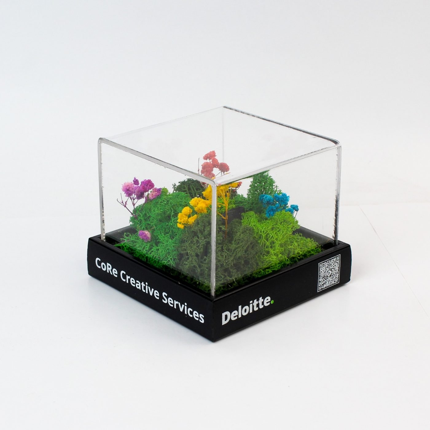 Cube terrarium with a client's name on the base
