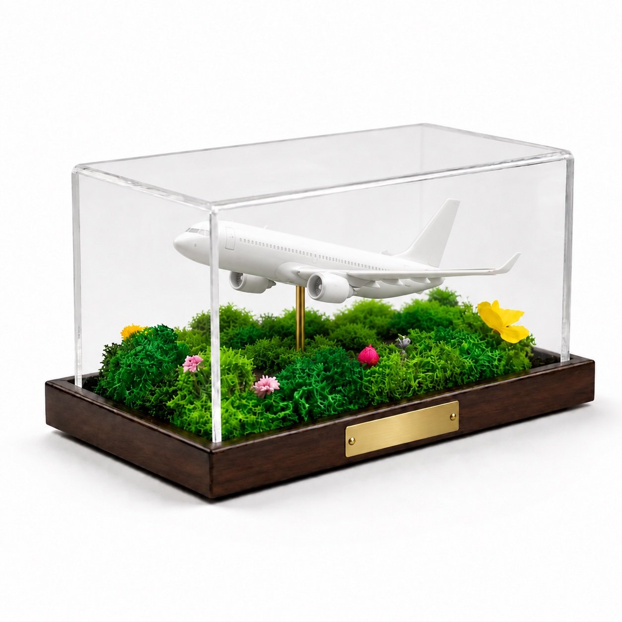 A plain white model aircraft in the same moss case