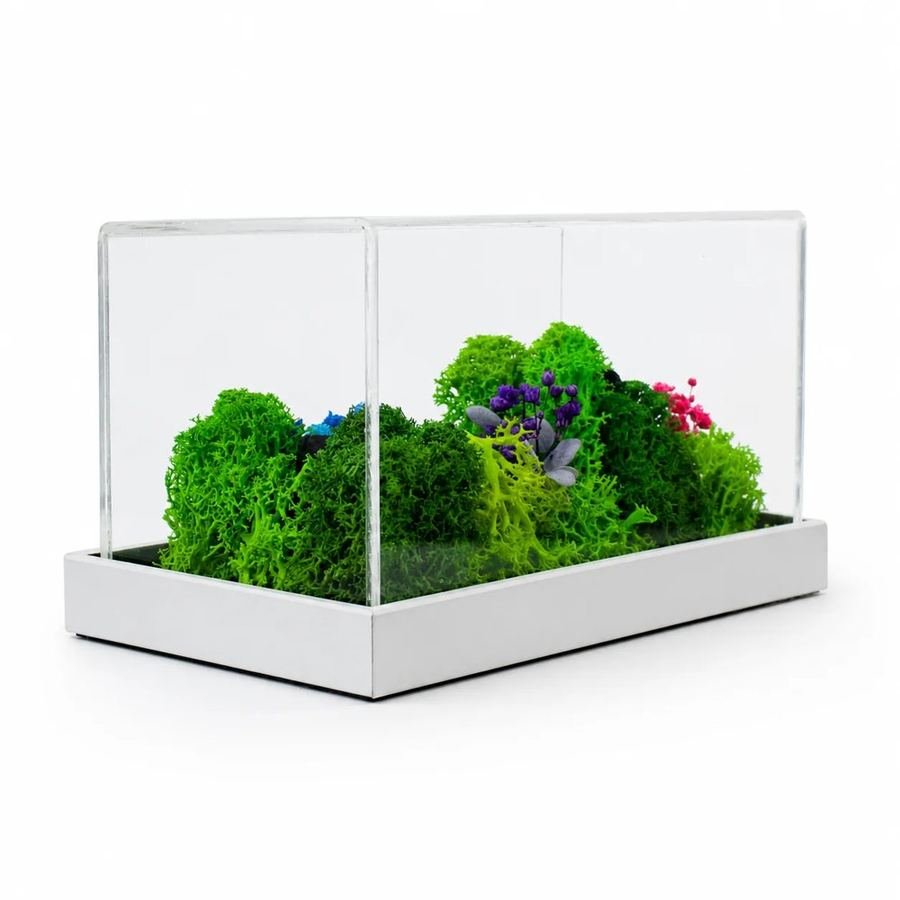 Forest Terrarium Landscape, 6 by 3 inches
