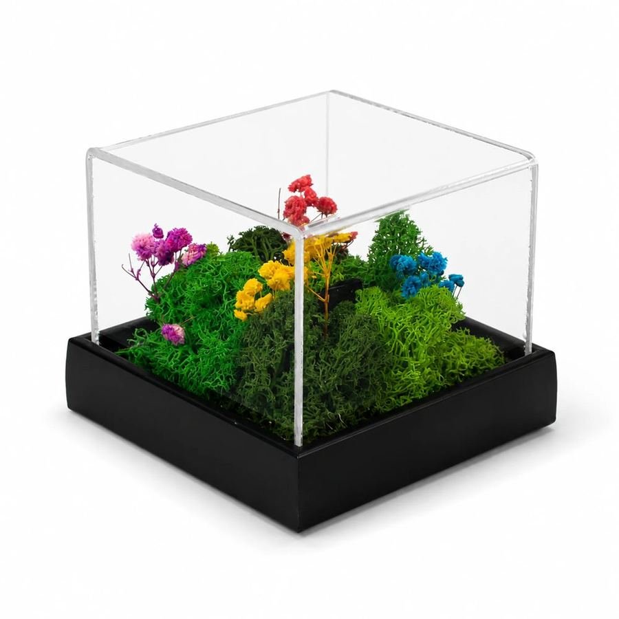 Forest Terrarium Desktop