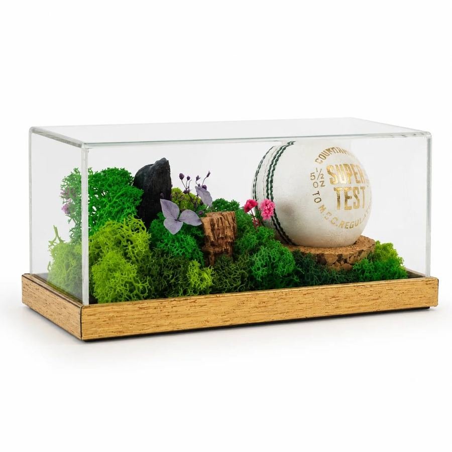 A cricket ball set in a moss landscape under a clear cover