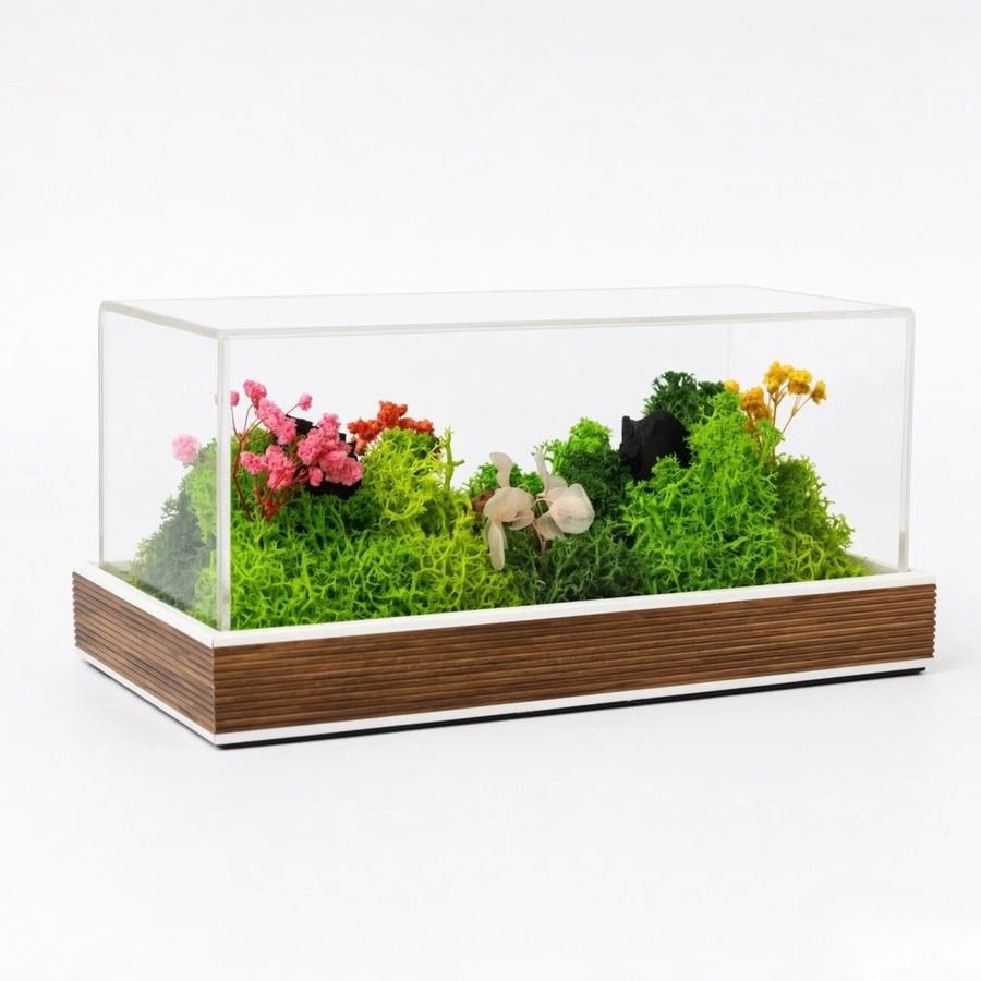 Forest Terrarium Landscape, a moss landscape under a clear cover