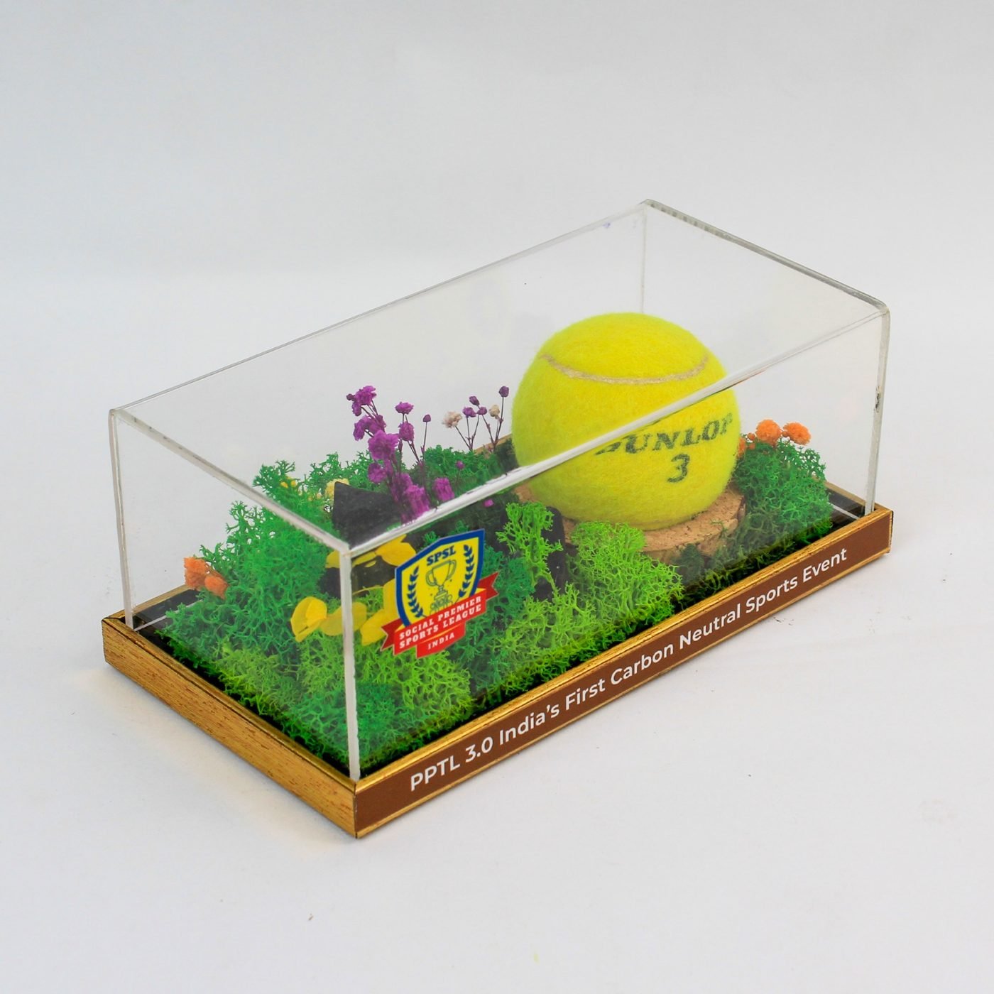 Tennis ball in moss under an acrylic cover